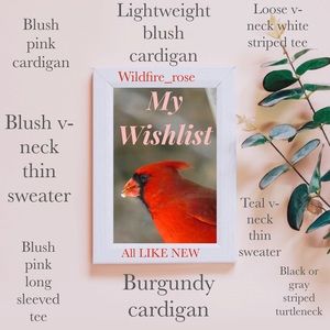 ISO BLUSH, TEAL, BURGUNDY Medium or Small (2-4)